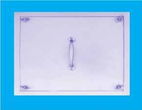Access door